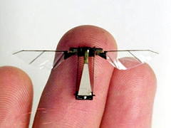 Mini drone volant